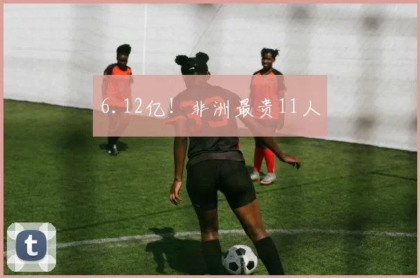 6.12亿！非洲最贵11人