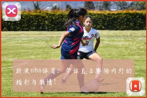 新浪nba体育:带你直击赛场内外的精彩与激情!