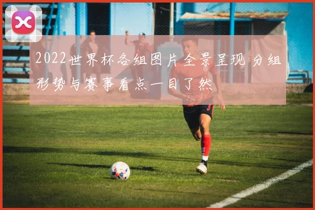2022世界杯各组图片全景呈现 分组形势与赛事看点一目了然